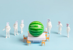 娱乐圈吃瓜爆料总结